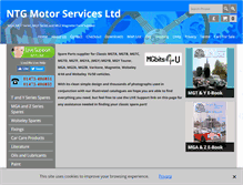Tablet Screenshot of mgbits.com